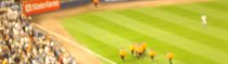 shea stadium
